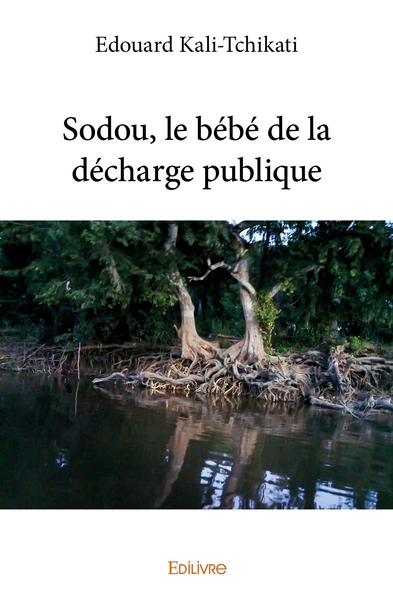 Picture of Sodou, le bébé de la décharge publique