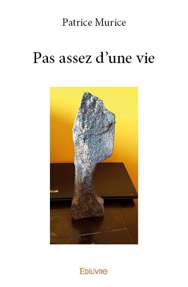 Image de Pas assez d'une vie