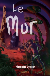Image de Le Mur