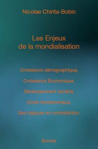 Image de Les enjeux de la mondialisation