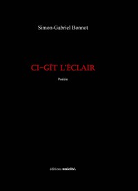Picture of Ci-gît l’éclair