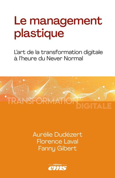 Image de Le management plastique