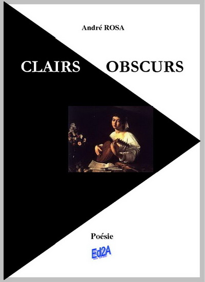 Picture of Clairs obscurs