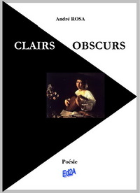 Picture of Clairs obscurs