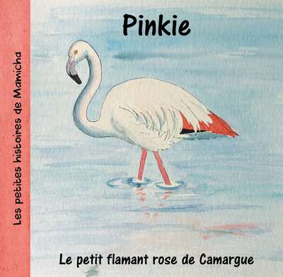 Image de Pinkie, le petit flamant rose de Camargue