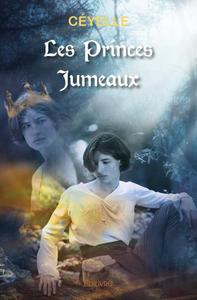 Picture of Les princes jumeaux