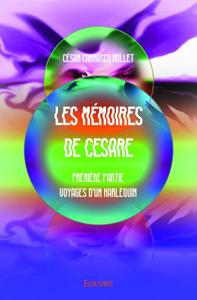 Picture of Les mémoires de cesare - première partie