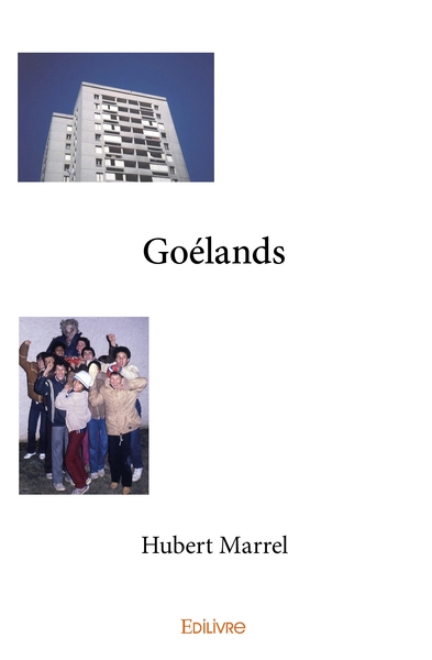 Picture of Goélands