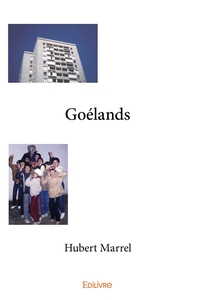 Picture of Goélands