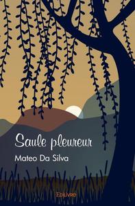 Picture of Saule pleureur