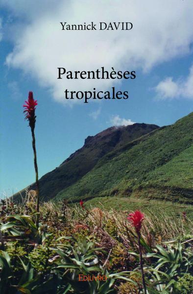 Picture of Parenthèses tropicales