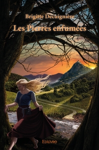 Picture of Les Pierres enfumées