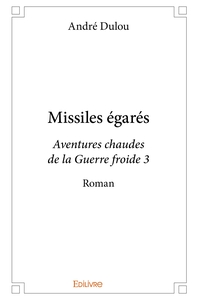 Picture of Missiles égarés