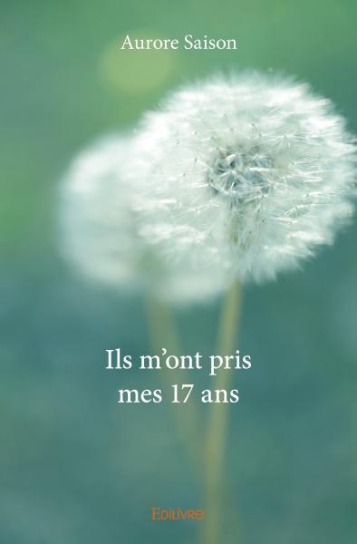 Image de Ils m'ont pris mes 17 ans