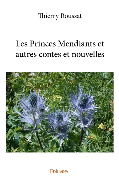 Image de Les Princes Mendiants et autres contes et nouvelles