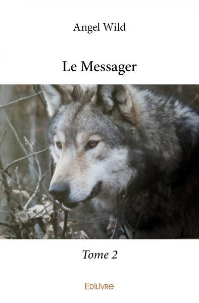Picture of Le messager –