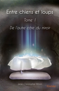 Picture of De l'autre côté du miroir - Tome 1
