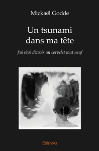 Picture of Un tsunami dans ma tête