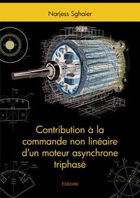 Image de Contribution à la commande non linéaire d'un moteur asynchrone triphasé