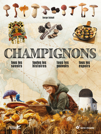 Image de Champignons
