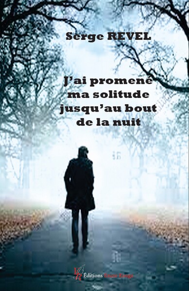 Picture of J'ai promené ma solitude jusqu'au bout de la nuit