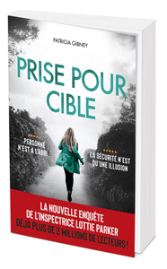 Picture of Prise pour cible
