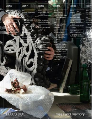 Picture of Duo Peles mess and memory /anglais