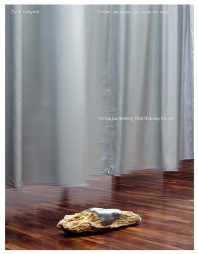 Image de Edith Dekyndt Tell Us Something That Nobody Knows /anglais/allemand