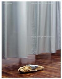 Image de Edith Dekyndt Tell Us Something That Nobody Knows /anglais/allemand