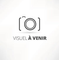 Image de Dictionnaire multilingue des mathématiques