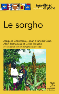 Image de LE SORGHO