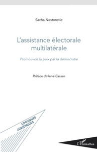 Image de L'assistance électorale multilatérale
