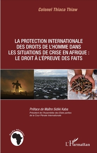Image de La protection internationale des droits de l'homme dans les situations de crise en Afrique :