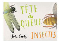 Image de Tête à queue - Insectes