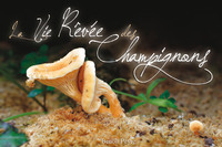 Picture of La Vie Rêvée des Champignons