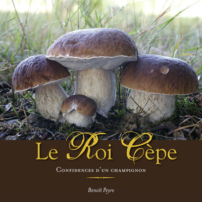 Picture of Le Roi Cèpe, confidences d'un champignon