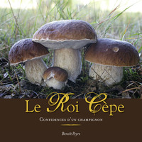 Picture of Le Roi Cèpe, confidences d'un champignon