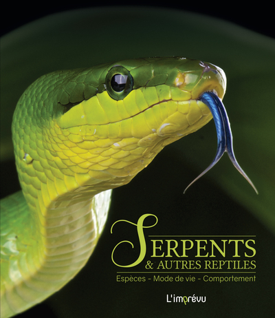 Picture of Serpents ou autres reptiles