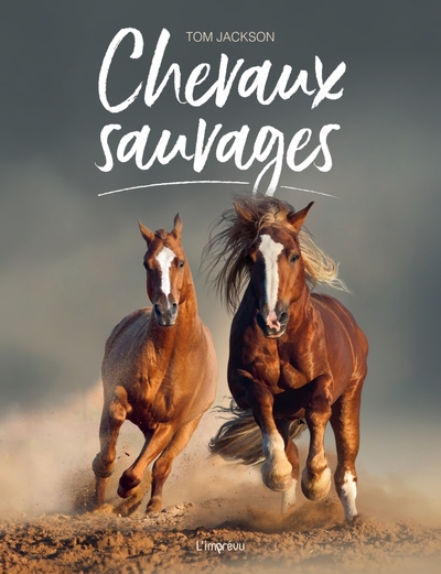 Image de Les chevaux sauvages