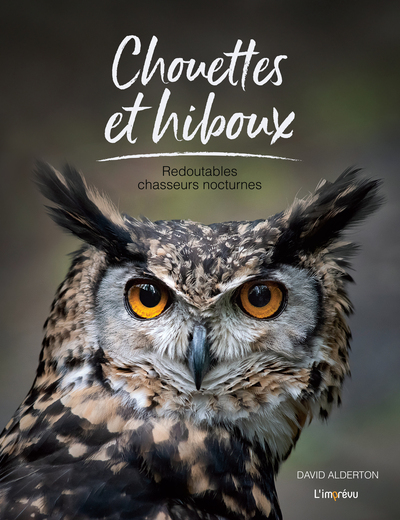Picture of Chouettes et hiboux