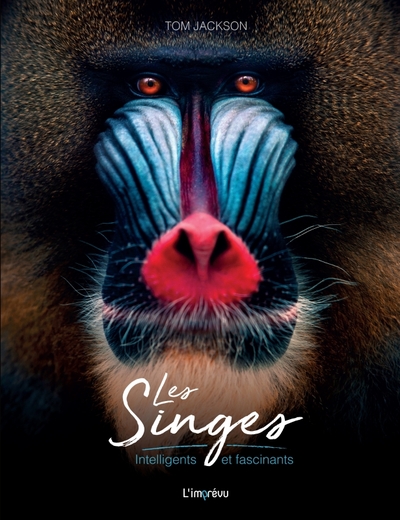 Picture of Les Singes