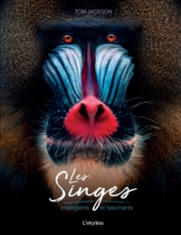 Picture of Les Singes