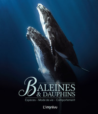 Picture of Baleines et dauphins