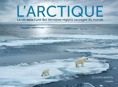 Picture of L Arctique