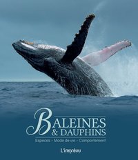 Picture of Baleines et dauphins