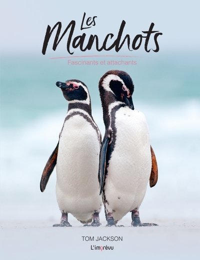 Image de Les manchots