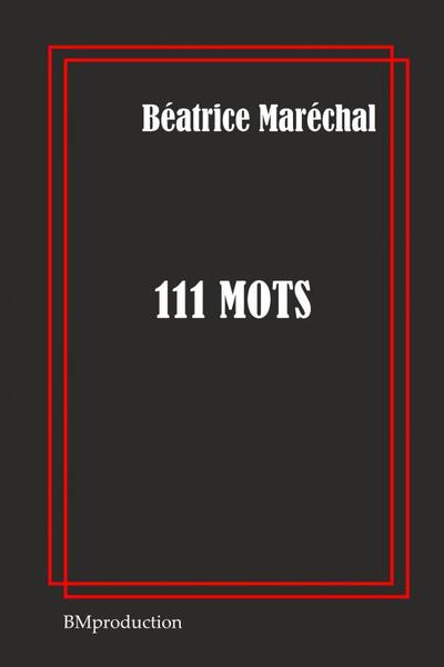 Picture of 111 MOTS