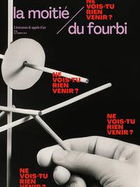 Picture of La moitié du fourbi N°16 : Ne vois-tu rien venir ? - Automne 2024