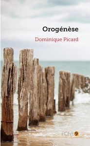 Image de Orogénèse