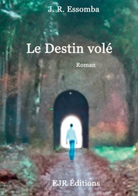 Picture of Le Destin volé